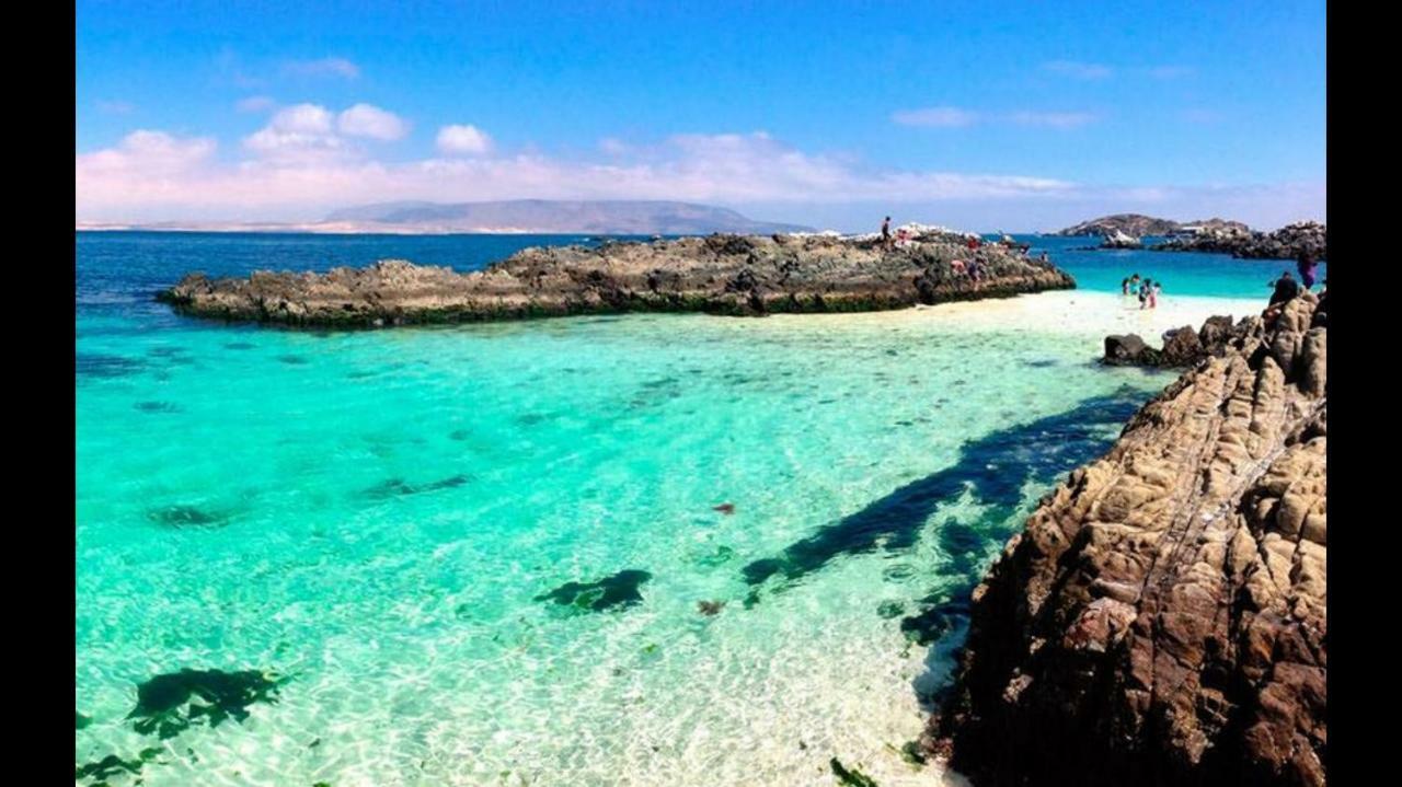 Condominio Bahía Inglesa Eksteriør bilde